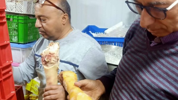 حملات بيطرية مكثفة 