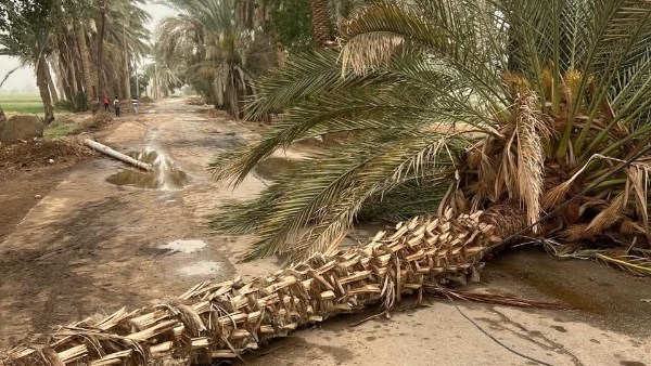 فتح الطريق أمام المواطنين 