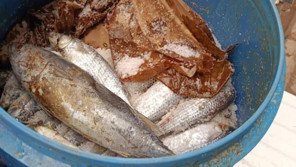 حملات تموينية متنوعة 