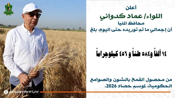 محافظ المنيا خلال موسم التوريد 