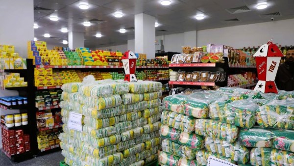 بيطري المنيا: تحصين 186 ألفًا و251 رأس ماشية ضمن الحملة الاستثنائية ضد الحمى القلاعية