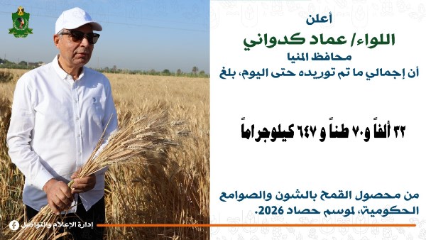 توريد القمح بالمنيا 