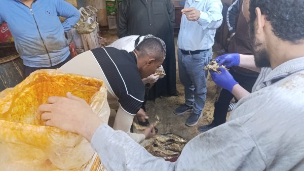 ضبط 700 كيلو فسيخ وأسماك مملحة غير صالحة خلال حملات مكثفة بأبوتيج 