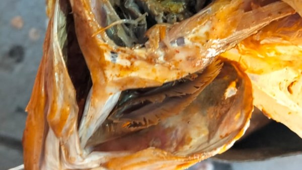  ضبط 850 كجم أسماك مملحة فاسدة خلال حملة بـ 5 مراكز  بأسيوط 