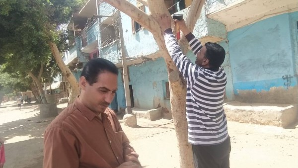  استمرار تركيب الأكواد التعريفية لأشجار مبادرة 100 مليون شجرة بأسيوط 