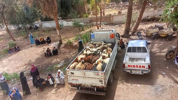 محافظة سوهاج