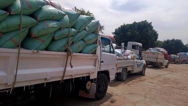 توريد الاقماح بسوهاج