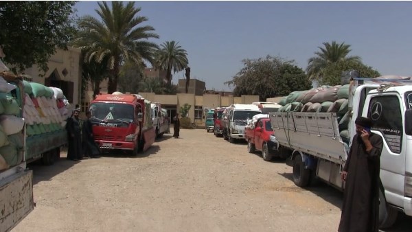 محافظة سوهاج