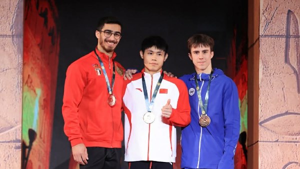 محمد منتصر عفيفي