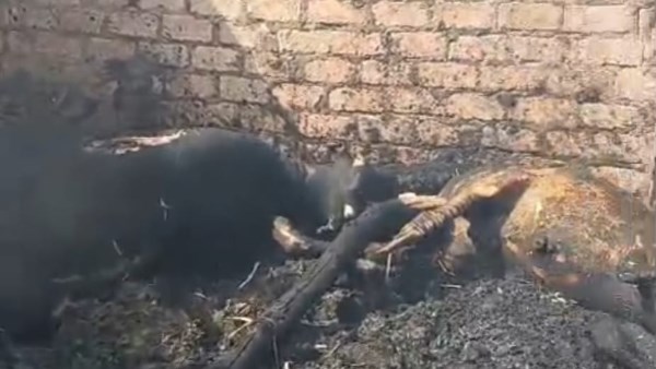 حريق أبودياب