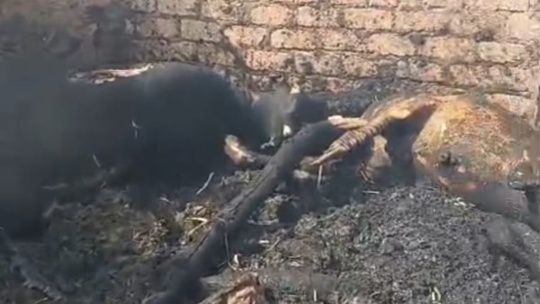 حريق أبودياب