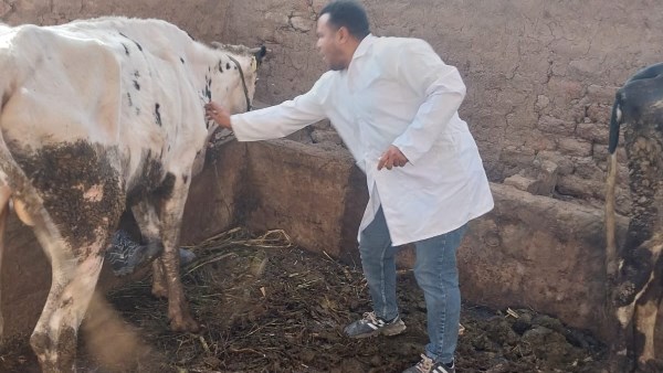 حملات الطب البيطري 