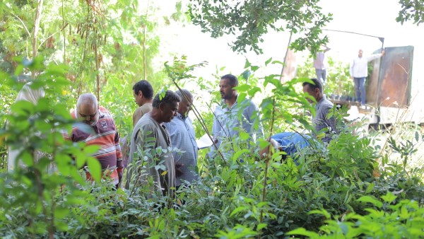 مبادرة ١٠٠ مليون شجرة 