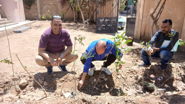 مبادرة زراعة الشتلات المثمرة بقنا