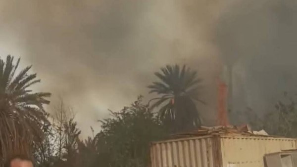 سيطرة على حريق هائل في كرم نخيل بنجع الحلة بإسنا بالأقصر