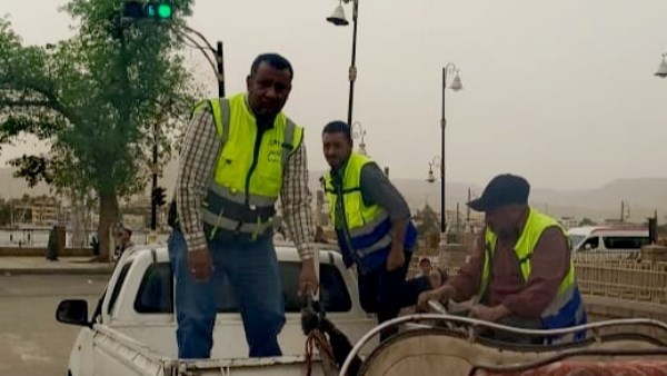 حملة على عربات الحنطور بالأقصر 