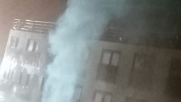 جهود محافظة أسوان