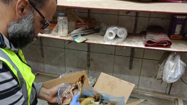 جهود محافظة أسوان