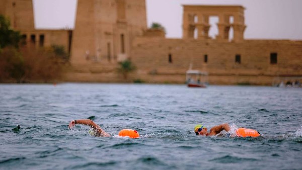 جهود محافظة أسوان