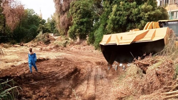 جهود محافظة أسوان