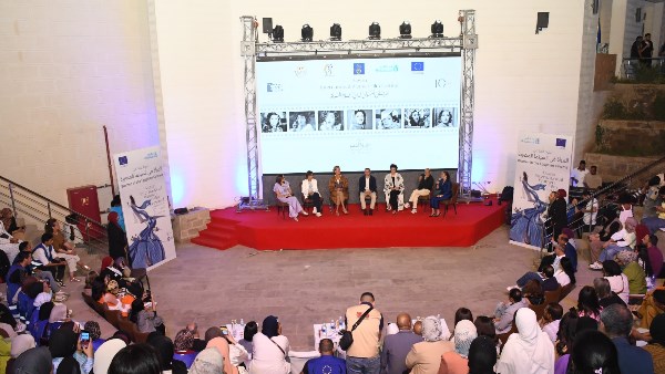 جهود محافظة أسوان