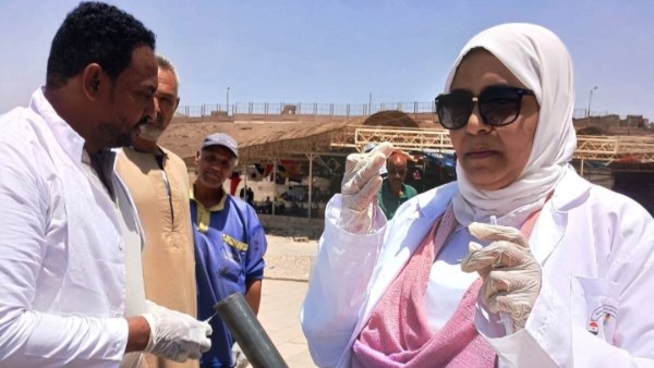 جهود متنوعة 