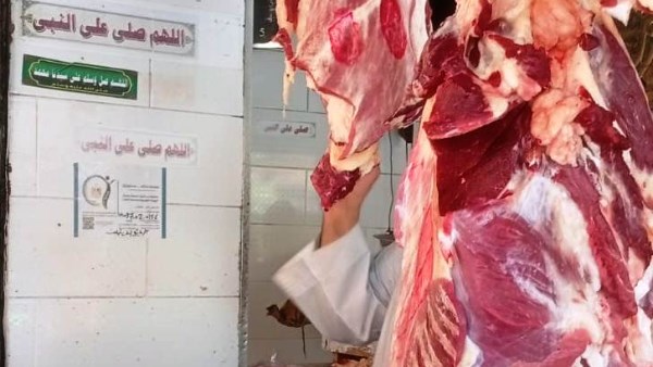 جهود محافظة أسوان