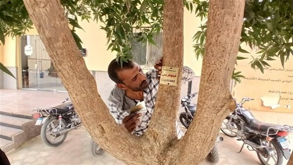 جانب من الحدث