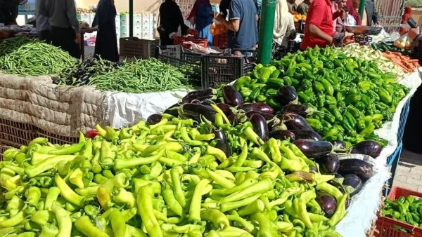 خضروات ارشيفيه