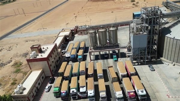 جانب من الحدث