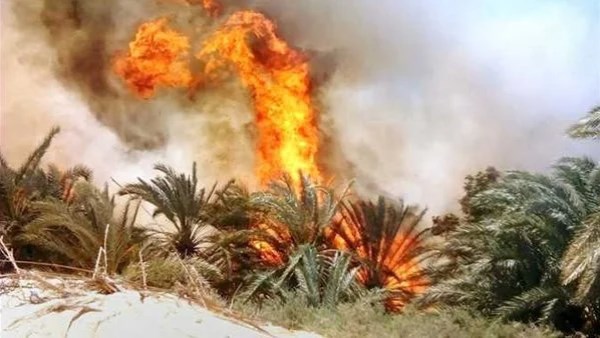 جانب من الحريق