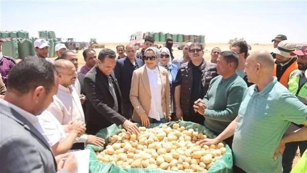 جانب من الحدث