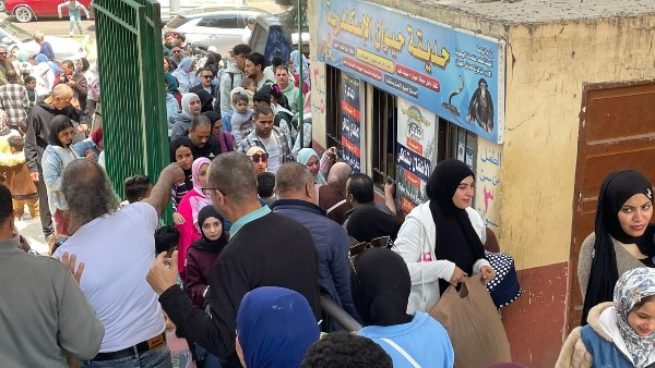 حديثة حيوان الاسكندرية