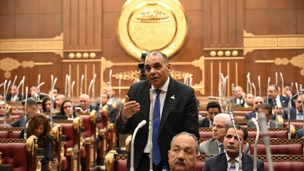 الدكتور رجائي عزت