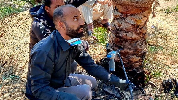 اليوم الحقلي