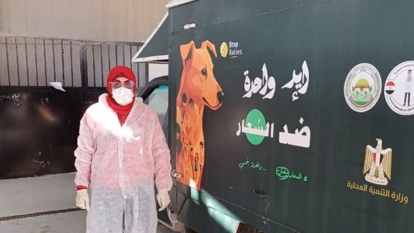 تكثيف حملات ضبط الكلاب الحره بمناطق مختلفة