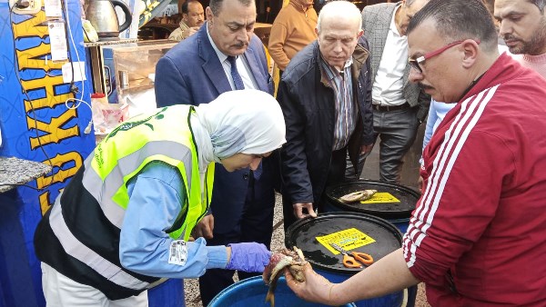 تموين دمياط