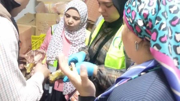 جانب من الحملة 