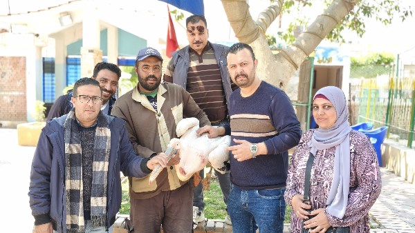 حملة شئون البيئة بطنطا 