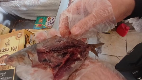 ضبط الرنجه في حملات تموينية بالغربية 