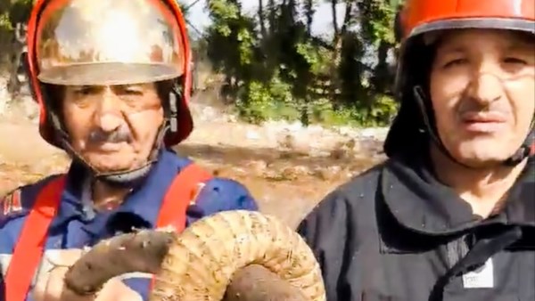 قوات الحماية المدنية بالغربية 