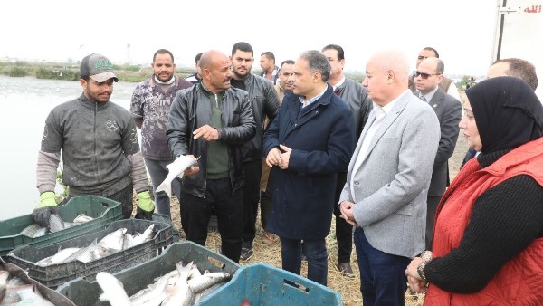 محافظ الشرقية