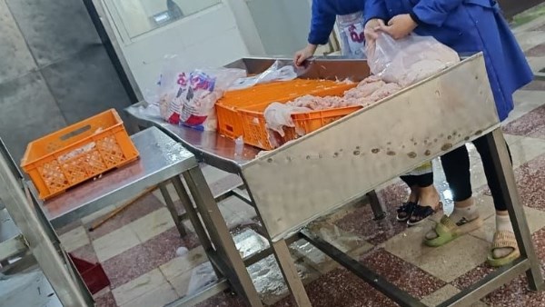 بيطري الشرقية 