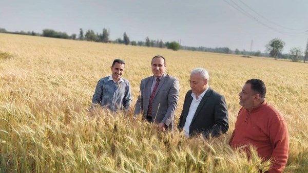 زراعة الشرقية