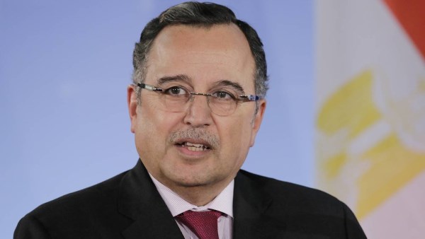 د.نبيل العربي