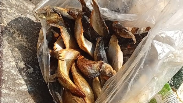 مواد غذائية مصيوطة