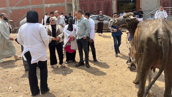 قافلة بيطرية في كفر الشيخ 