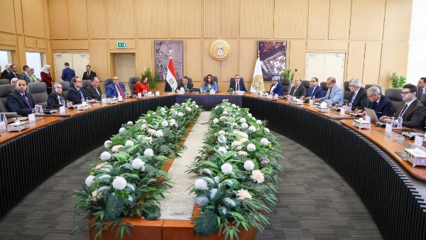 اجتماع وزيرة التنمية المحلية والبيئة 