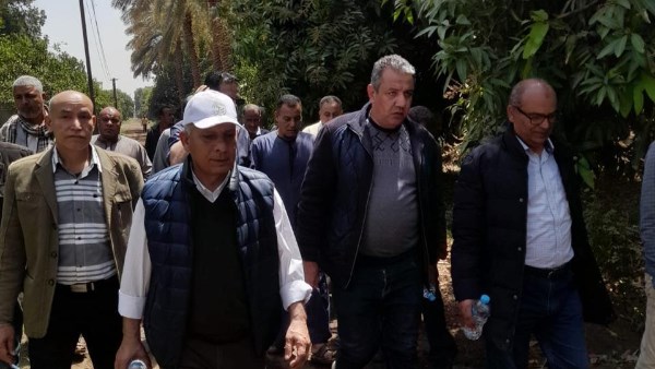 لزراعة تتابع برامج إكثار التقاوي في الأقصر