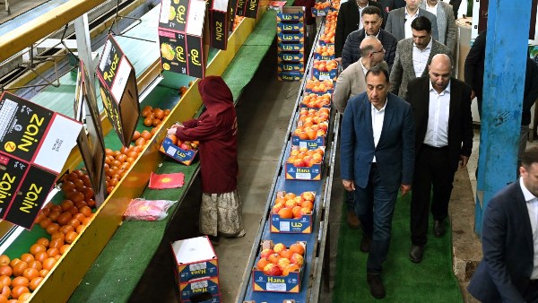 رئيس الوزراء يتفقد محطة لتعبئة الموالح والحاصلات الزراعية بالقليوبية